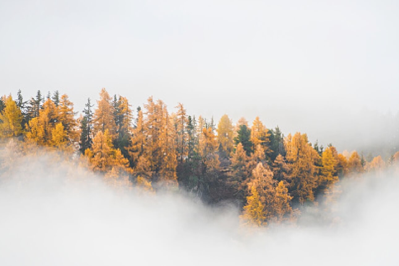 – Nicola C via Tripadvisor